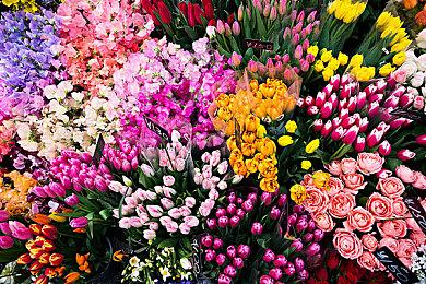 TGA 2023持续约2.5-3小时 将有大量新游戏揭晓