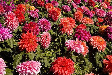 外媒评最受期待PS5新游戏TOP17：《战神：诸神黄昏》登顶